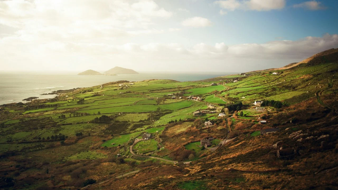 Sligo Fox Control in Ireland: A Hunter’s Guide to Managing Fox Populations. Associations and Clubs, Laws, Hunting Seasons and Demographics
Sligo, located in the northwe