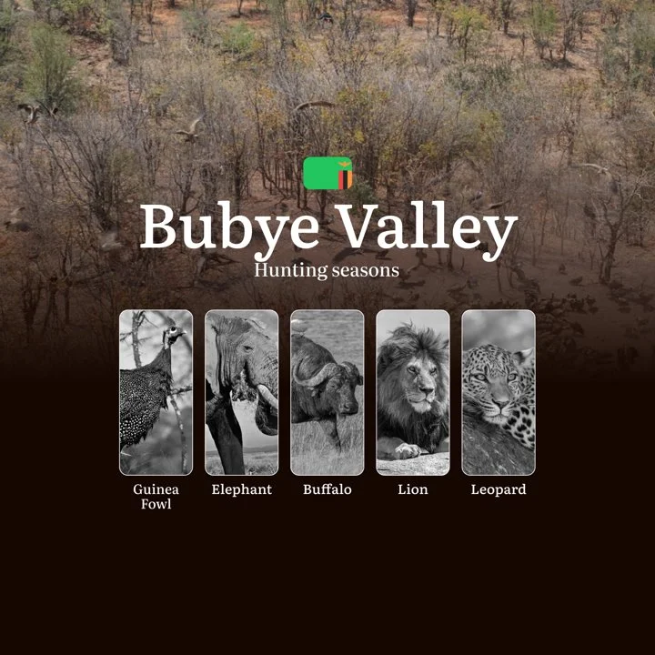 When the Thornveld Awakens: Mastering Bubye Valley's Hunting Seasons, Regulations, and Trophy Opportunities
General Hunting Rules and Seasons in Bubye Valley
Bubye Vall