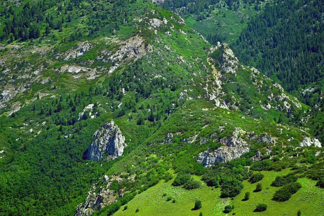 Jagd in Mauren, Liechtenstein: Natur, Geografische Besonderheiten, Wildbestände, Traditionen und Gesetze 

Die Gemeinde Mauren im Fürstentum Liechtenstein bietet Jagdenth