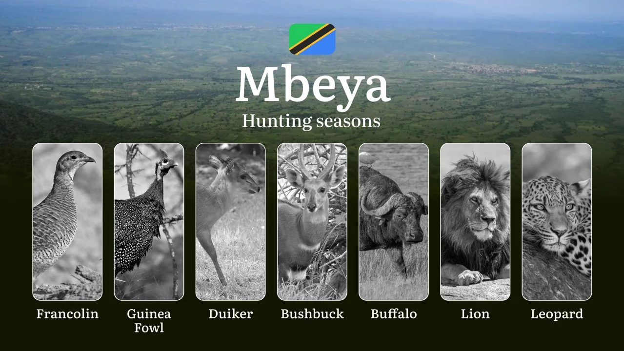 Hunting Calendar for Mbeya: Prime Times for Big and Small Game, Restricted Areas, Regulations and Exemptions, Obtaining…