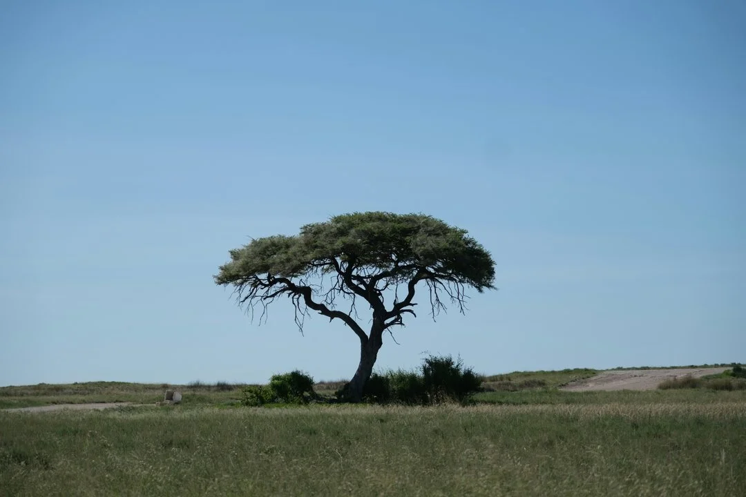 Hunting Equipment Markets in Bamako – Seasons, Clubs, Geography