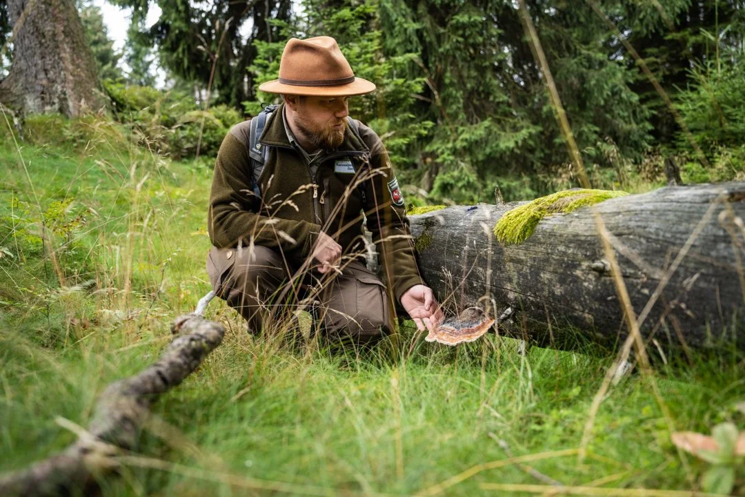 Jagd in SACHSEN: Geographische und natürliche Besonderheiten, Jäger und Demografie, Jagdarten, Jagdrecht und Jagdtraditionen
Geographische und natürliche Besonderheiten