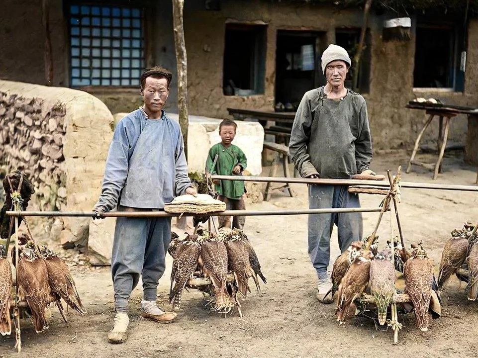 Falconary in China. Mongolian men sell falcons in Beijing. China, circa 1900.

Falconry is a very ancient art. According to one version, it originated in Asia. 
The homel