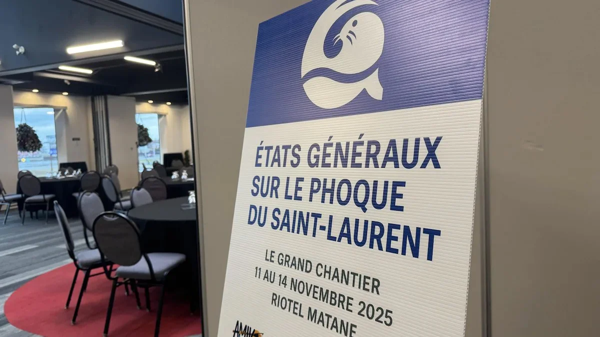 États généraux sur la chasse au phoque: une semaine décisive à Matane 

Du 11 au 14 novembre 2025, Matane accueille les états généraux sur la gestion du phoque. Citoyens,