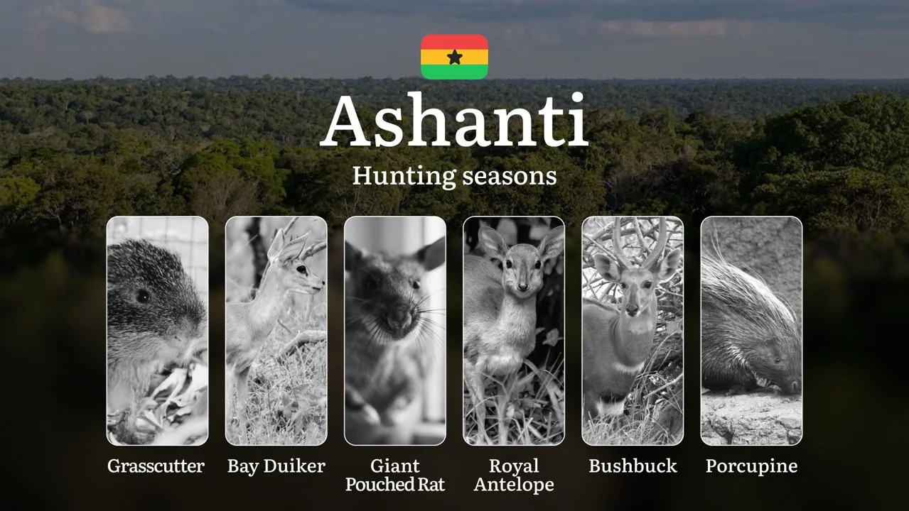 Hunting Calendar in Ashanti: The Thrill of Hunting Events and Traditions, Legislation & General Hunting Rules and Permits