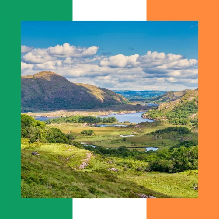  Ireland: all about hunting and fishing, news, forum. avatar