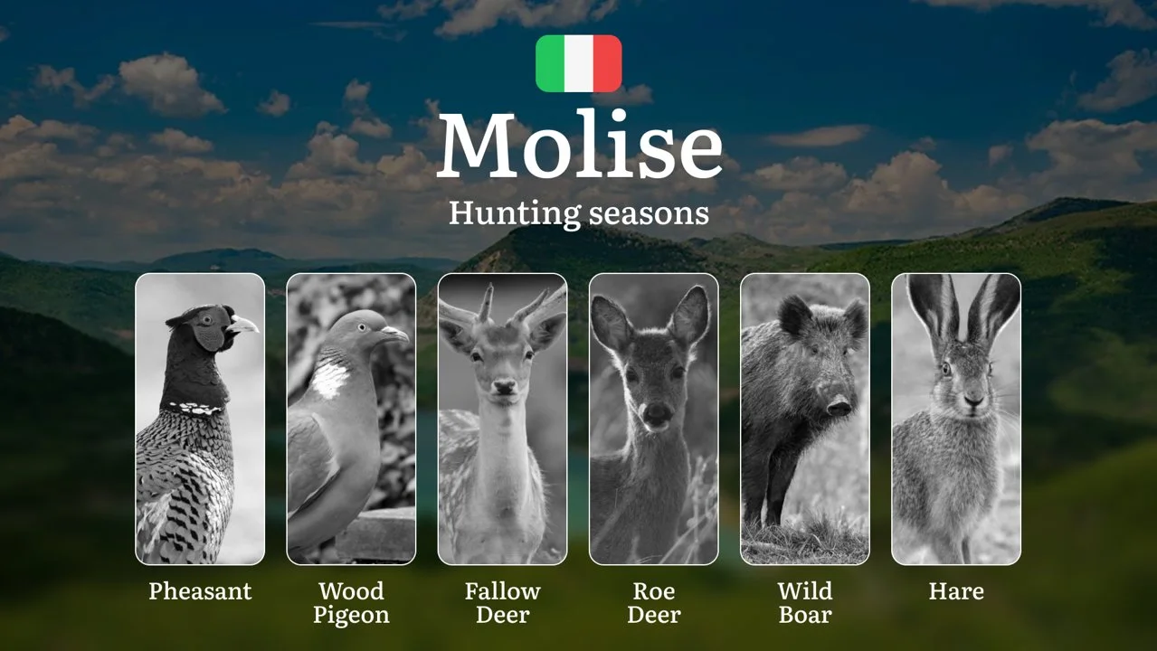 Molise Small Game Calendar: Year-Round Opportunities for Hare and Woodcock in Italy's Hidden Region