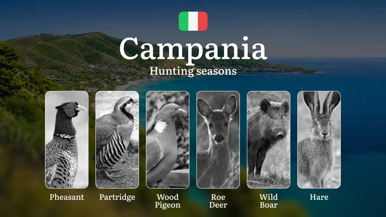 Campania Hunting Calendar: Optimal Dates from Cilento to Matese Mountains, Tips and Events