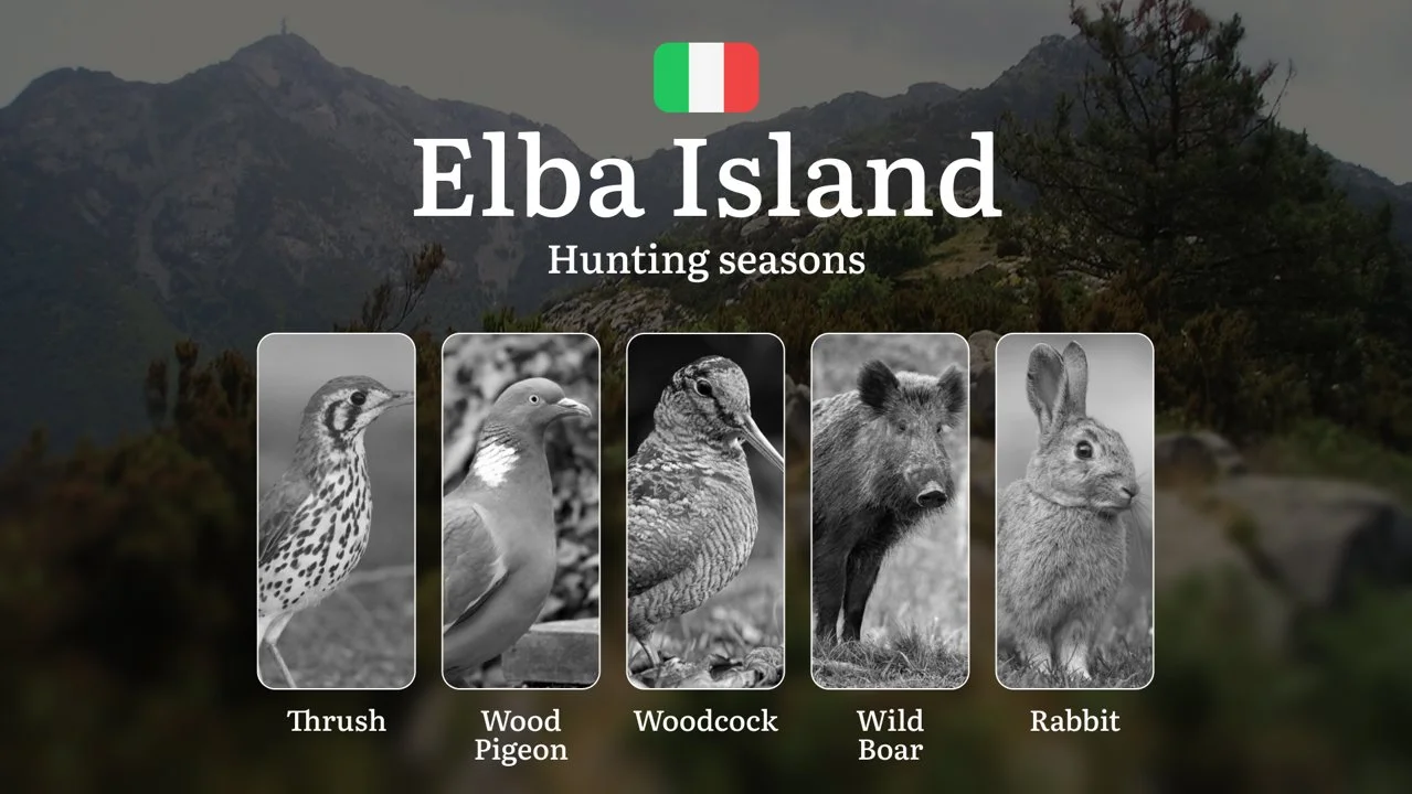 Elba's Hunting Secrets: Mastering Seasons, Permits & Island Traditions in Tuscany's Crown Jewel