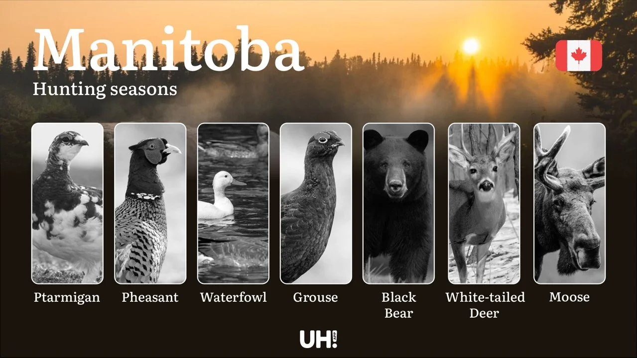 Hunting Seasons in MANITOBA (Canada): Official Opening/Closing Dates, Required Permits & Must-Know Regulations

Manitoba is a prime destination for hunters, offering dive