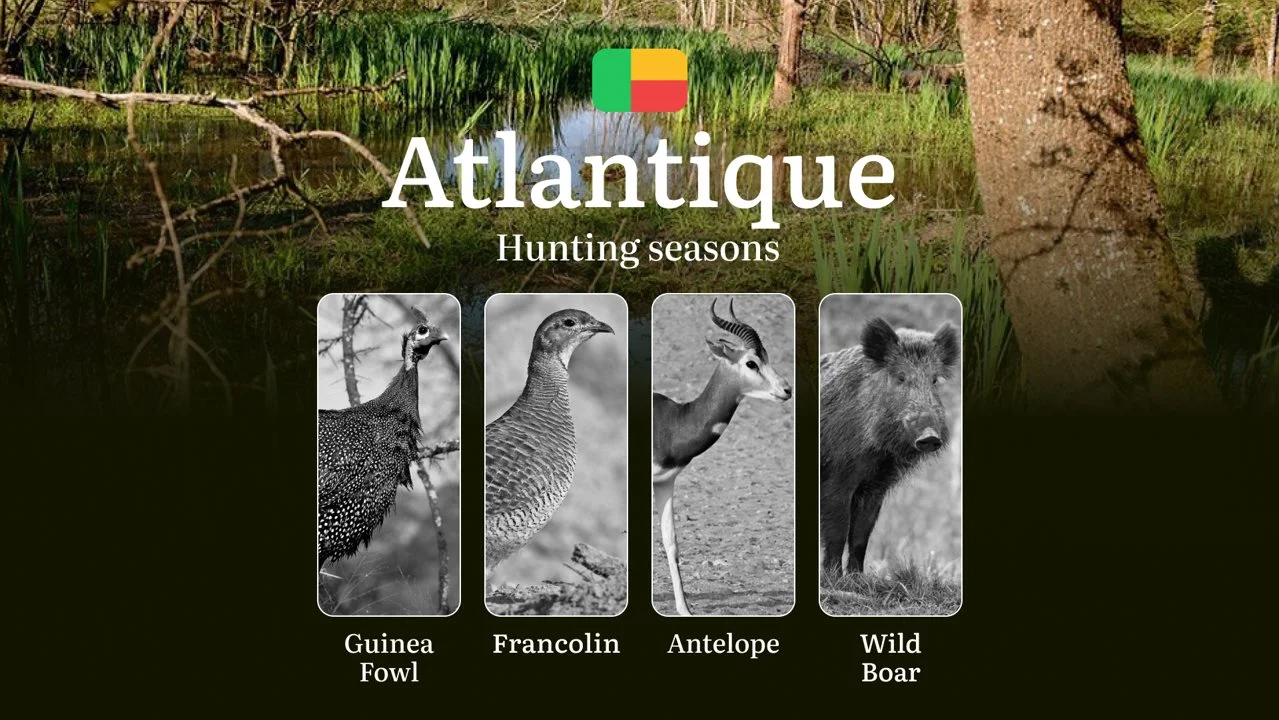 Seasons of Hunting in the ATLANTIQUE Region, Benin: Timing and Hunting Seasons, Protected Species and Restrictions, Licenses and Permits

Hunting Periods and Natural feat