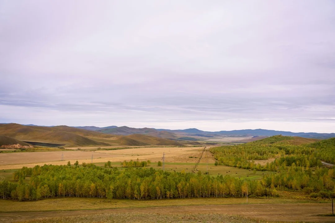 Bayankhongor Province: A Premier Hunting Destination in Southern Mongolia, Demographics, Associations and Clubs, Laws and Hunting Seasons
Nestled in the heart of souther