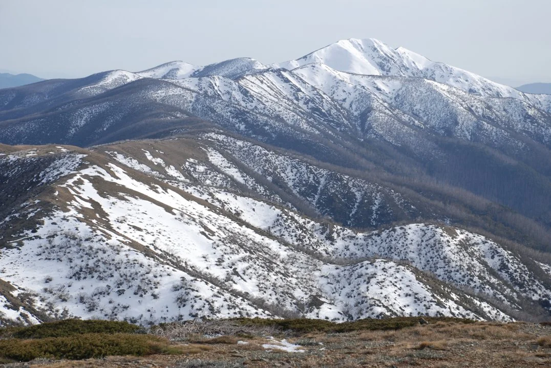 Victorian Alpine Hunting: Traditions and Challenges in High-Country Terrain, Demographics, Legislation System, Associati…