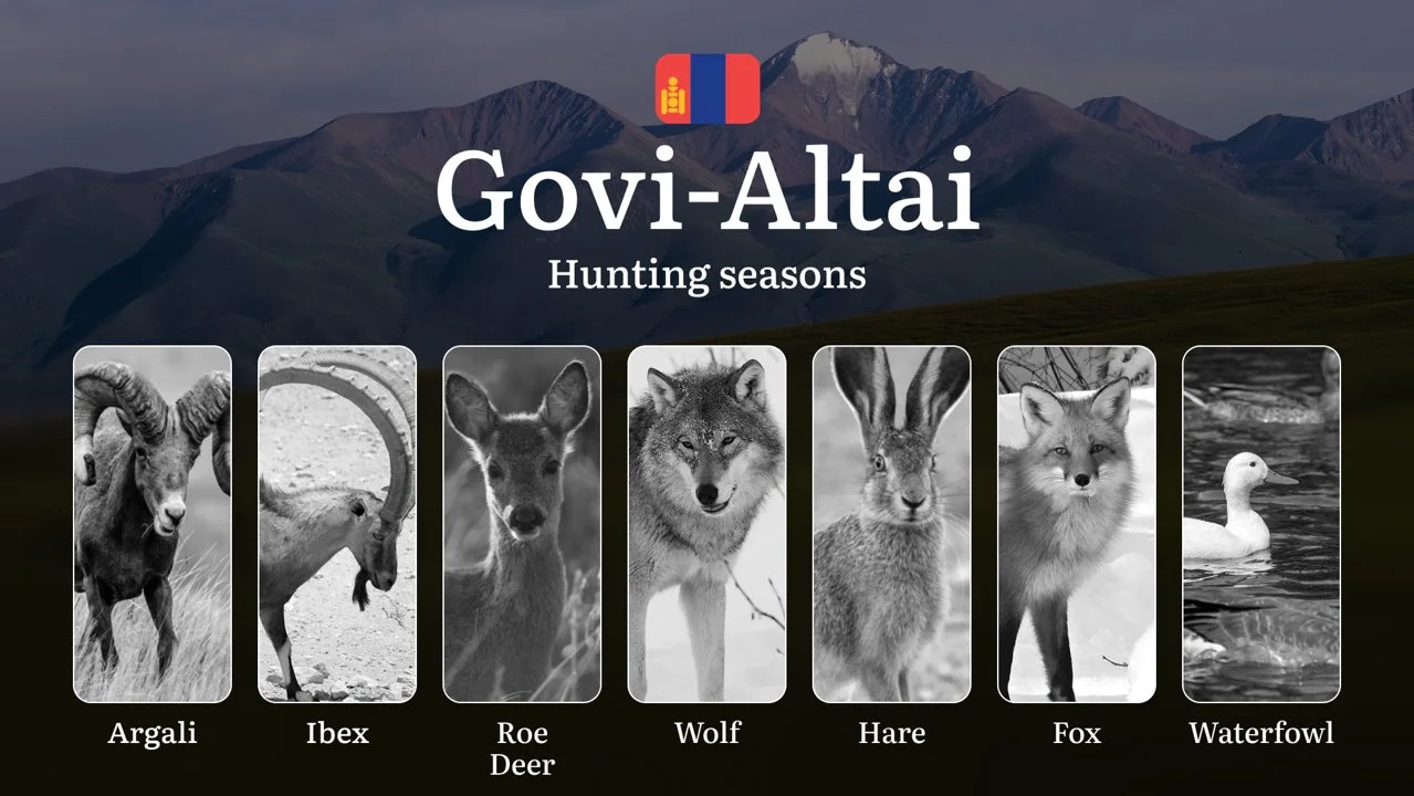 Govi-Altai Province: Hunting Seasons and Timing, Regulations and Licensing, Required Documents and Procedures, Tips for…