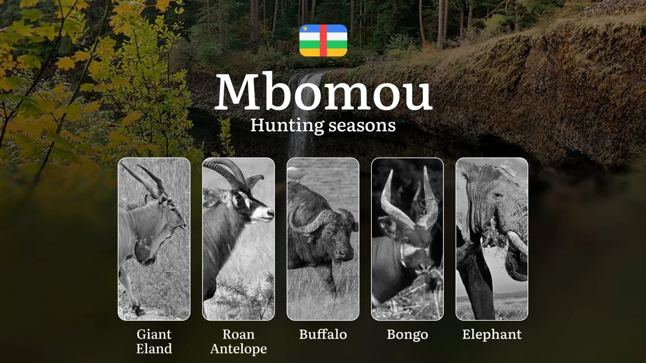 Hunting Calendar in Haut-Mbomou: The Thrill of Hunting Events and Traditions, Legislation & General Hunting Rules and Permits
General Hunting Rules and Seasons in Haut-Mb