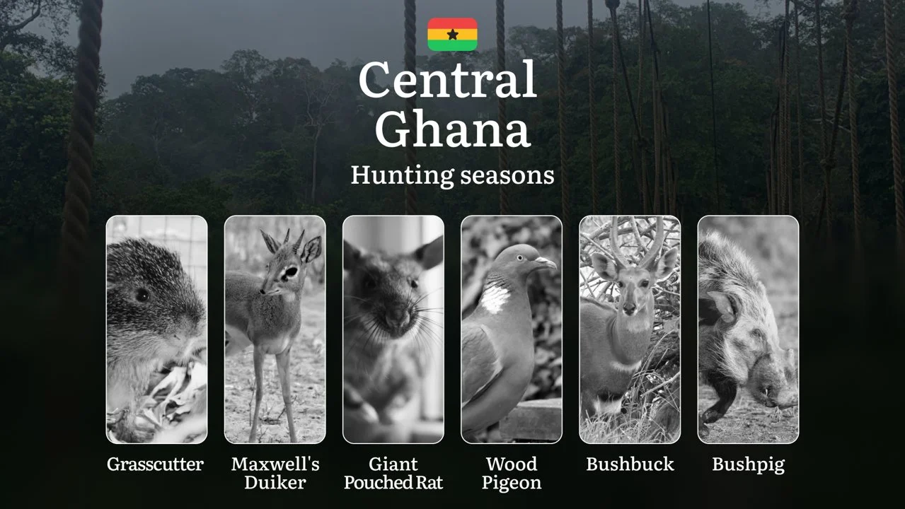 Hunting Seasons of the Central Region: Exploring General Hunting Rules, Legislation and Permits, Hunter Events and Cultural Experiences