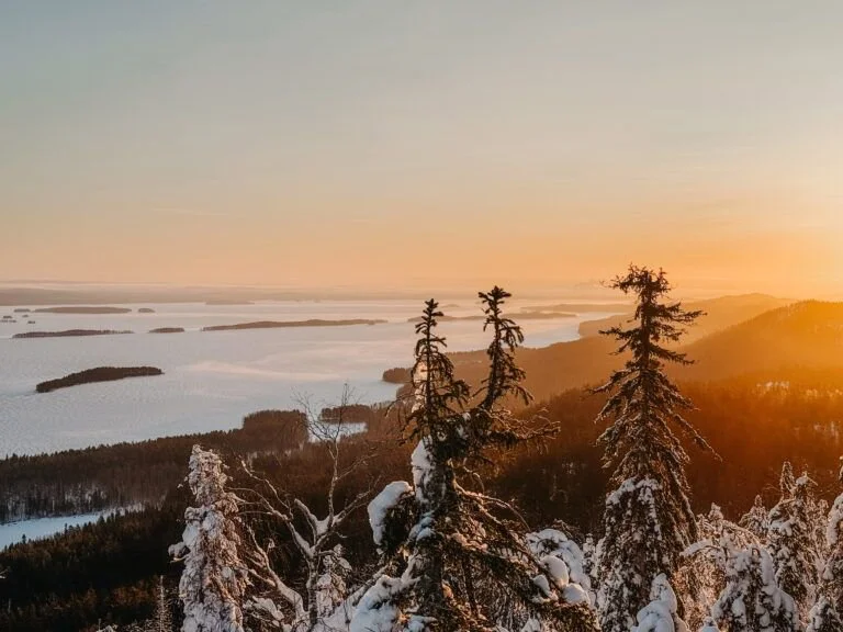 Koli National Park Hunting: Guide: Seasons, Clubs, Legislation, Communities and Local Traditions

Koli National Park, located in eastern Finland, is a stunning natural re