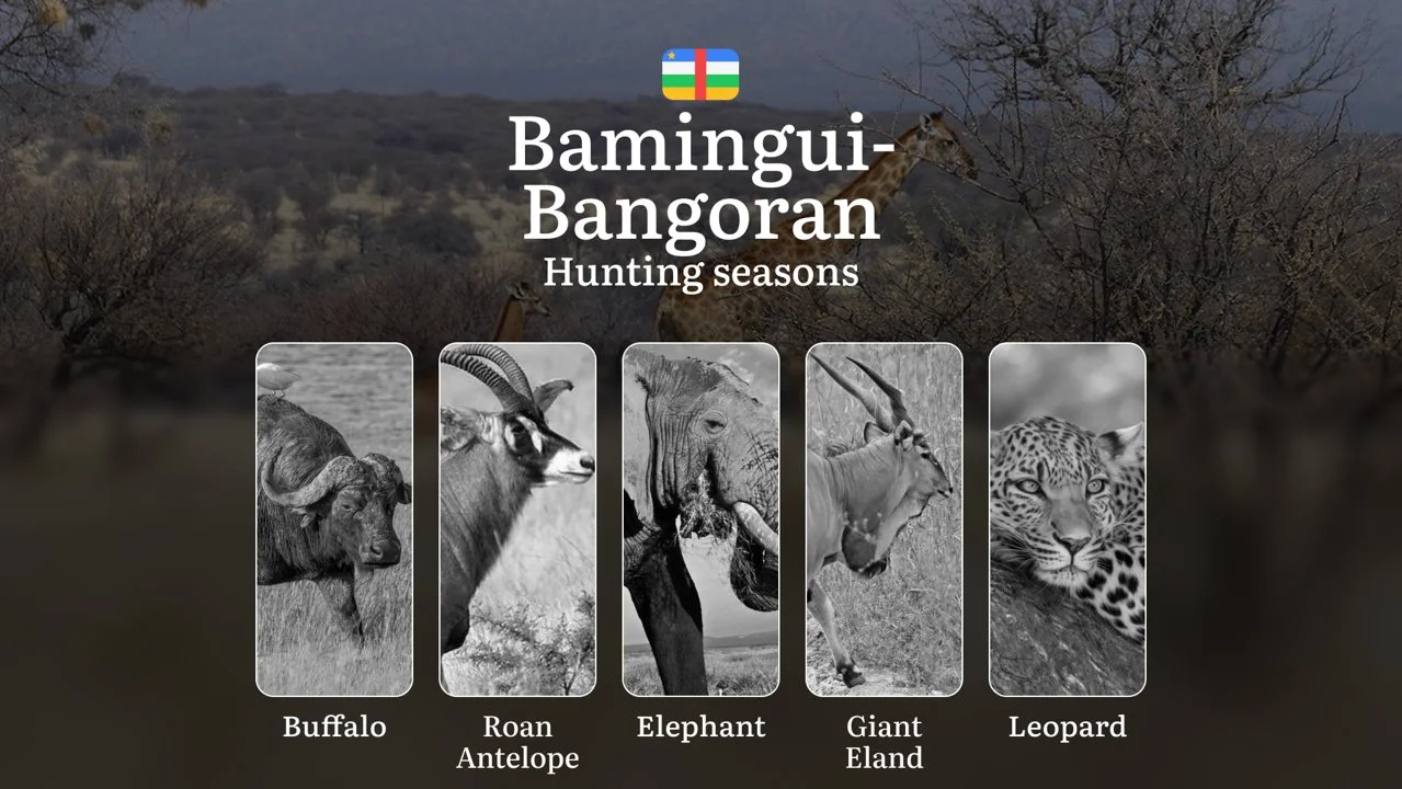 Hunting Laws and Seasons in Bamingui-Bangoran: General Hunting Rules, Permits, Restrictions & Time-Honored Events 
General Hunting Rules and Seasons in Bamingui-Bangoran
