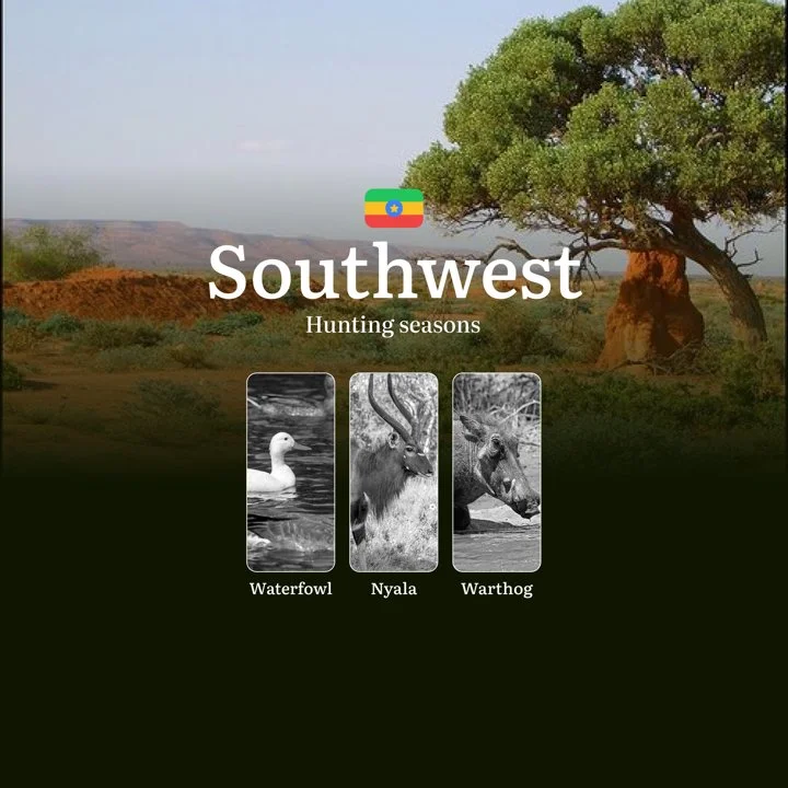 Seasons of Hunting in Ethiopia’s SOUTHWEST Region: Seasonality, Licenses, and Rules for Successful Hunting, Restrictions and Prohibitions
Key Regulations and Hunting Dat