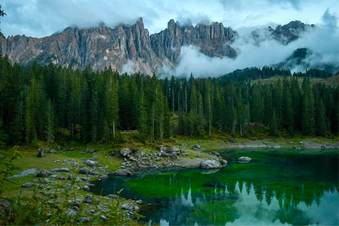 Caccia nella Val d'Orcia: Un'Esperienza Immersiva tra Paesaggi Patrimonio UNESCO e Tradizioni Venatorie

La Val d'Orcia, situata nel cuore della Toscana, è famosa per i s