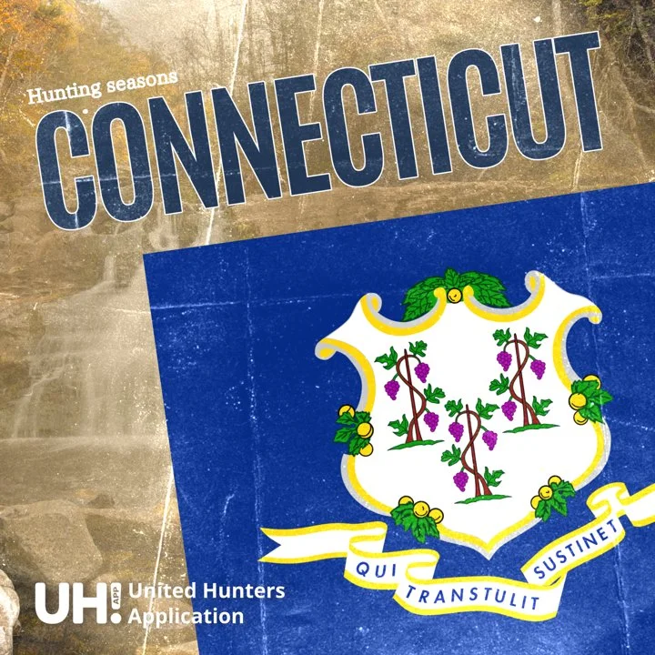 Hunting Seasons in Connecticut 2025: Big Game and Small Game, Licenses, and Regulations Guide