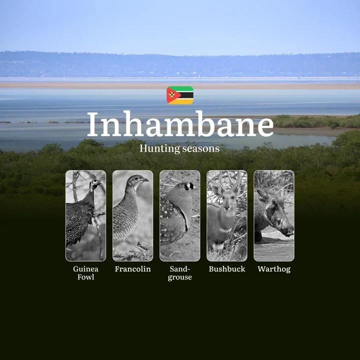 In Sync With Nature: Planning Your Perfect Hunt in Inhambane - Seasonal Calendar, Secrets and Legal Essentials