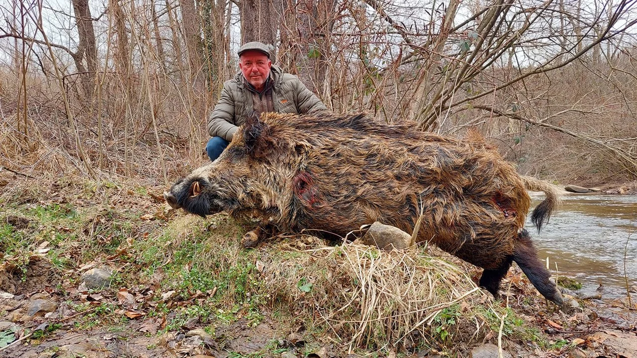 Die Jagd im Bezirk Melk: Topographie, Jäger, Fauna, Methodik, Jagdtermine, Regelungen, Jagdgepflogenheiten, Strukturen, Kuriositäten 

Regionale Topographie

Der Bezirk M