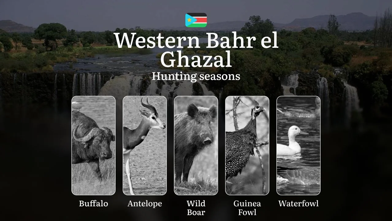 Hunting Calendar for Western Bahr el Ghazal: Regulations, Permits, and Best Times for Hunting