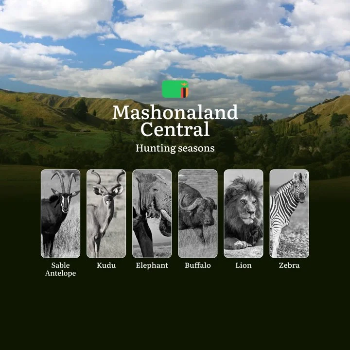 When the Dry Season Calls: Hunting Calendar, Regulations and Prime Opportunities in Zambia's Mashonaland Central