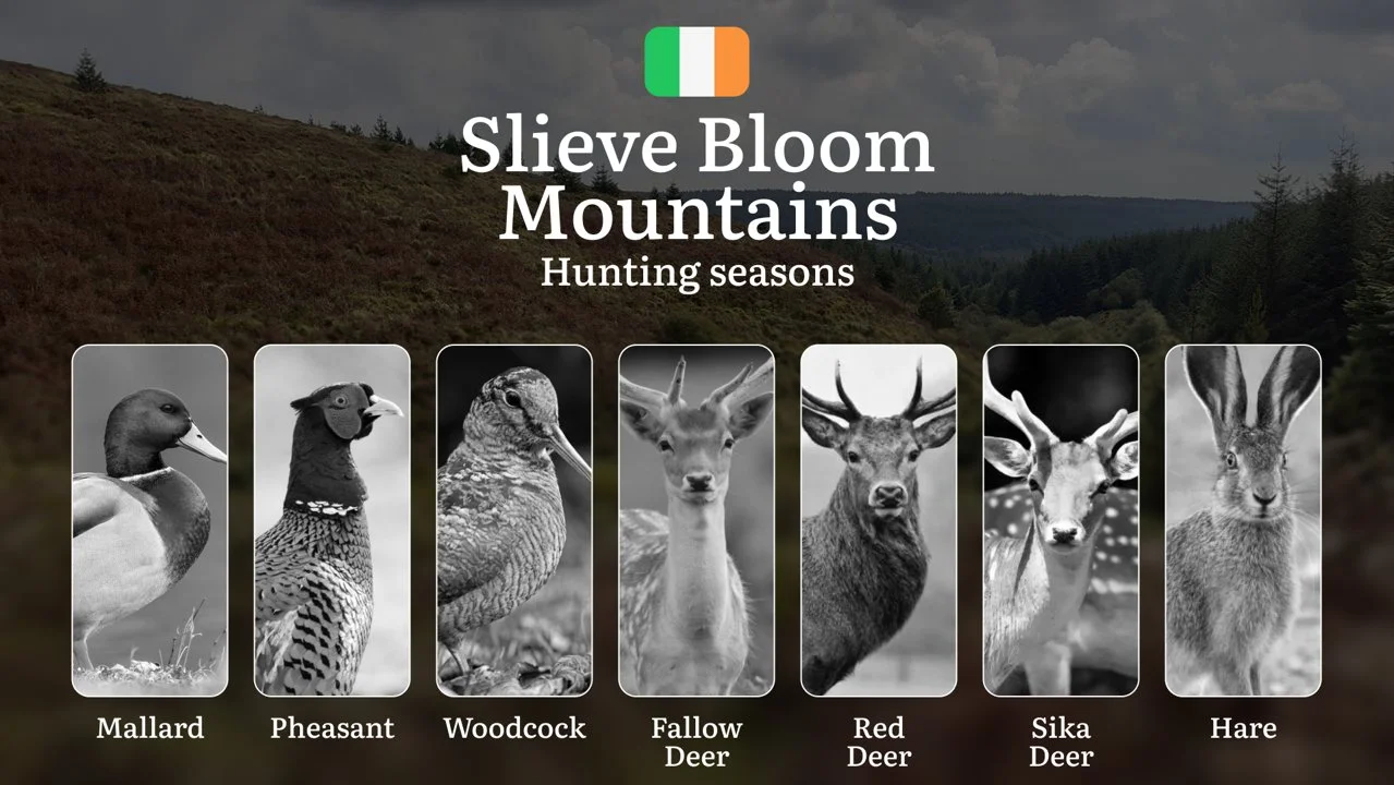 Secrets of the SLIEVE BLOOM: Mastering Hunting Calendar, Licenses, and Prime Game Opportunities in Ireland's Ancient Mountains

General Hunting Rules and Seasons in Sliev
