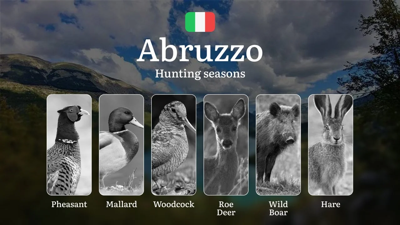 Abruzzo Hunting Seasons: Controlled Hunting Calendar in Europe's Wildest Apennine Terrain