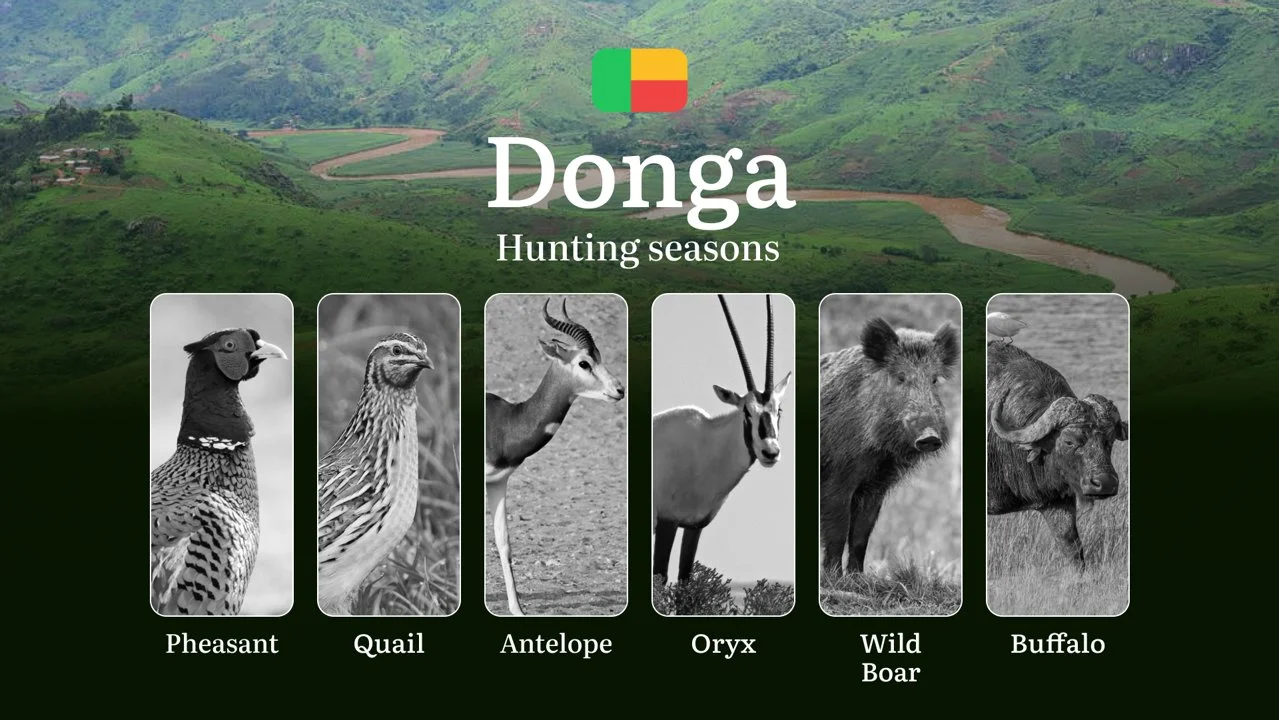 Dates of Hunting in Benin's DONGA Region: Hunting Periods, Licenses, Rules, Times and Seasons of Hunting

Rules and Timeframes of Hunting, Main Periods and Regulation

Hu