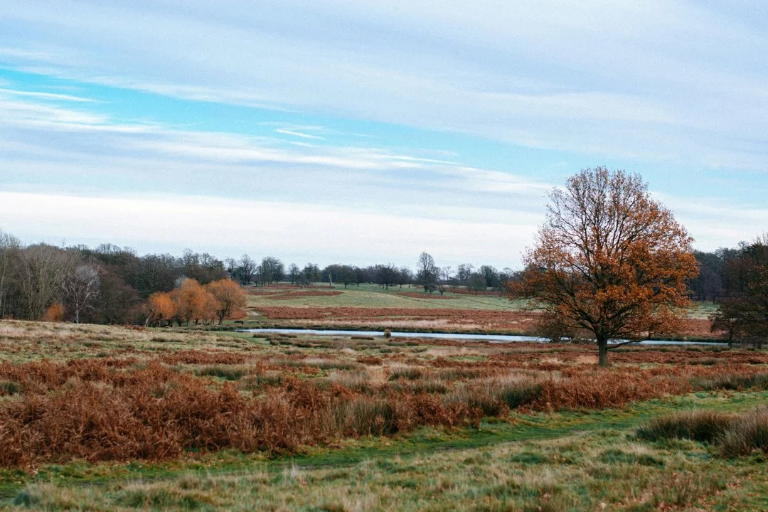 Hunting in Powys, Wales: geographical and natural features of the region, hunting seasons, interesting facts and traditi…