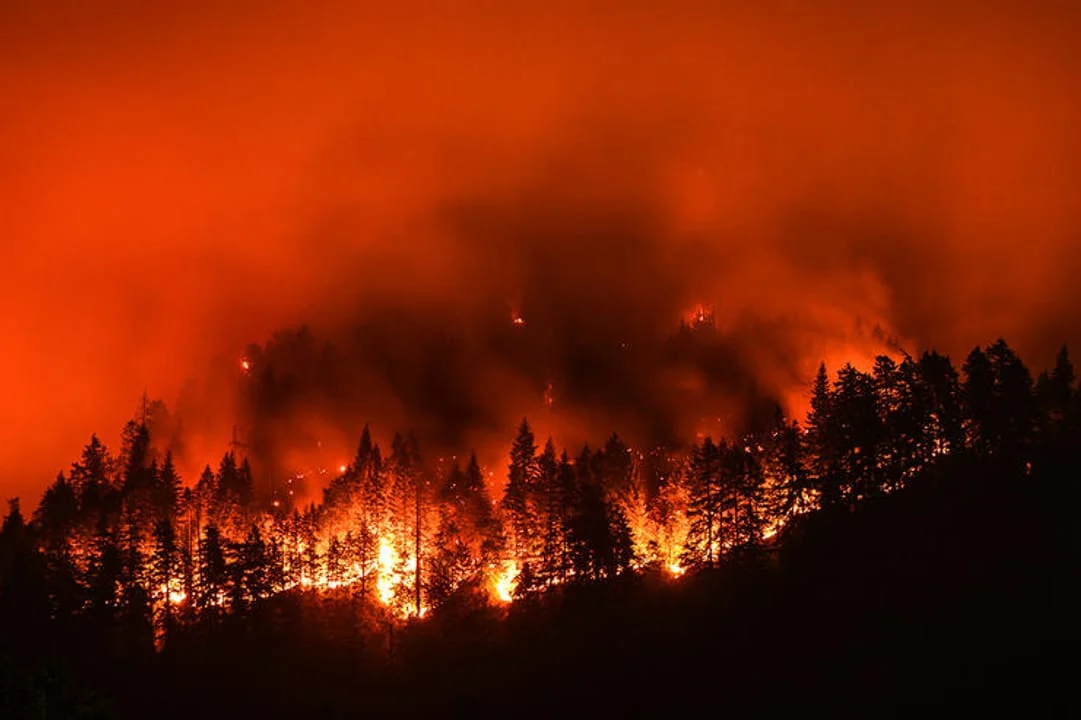 8 Things to Know About Drought and Western Big Game Hunting 8 Things to Know About Drought and Western Big Game Hunting