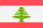 LB flag