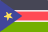 SS flag