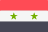 SY flag